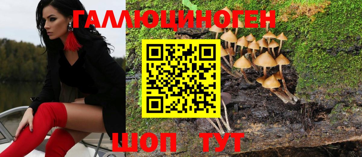 Галлюциногенные грибы Magic Shrooms  Вход с VPN  как найти закладки  Алушта 