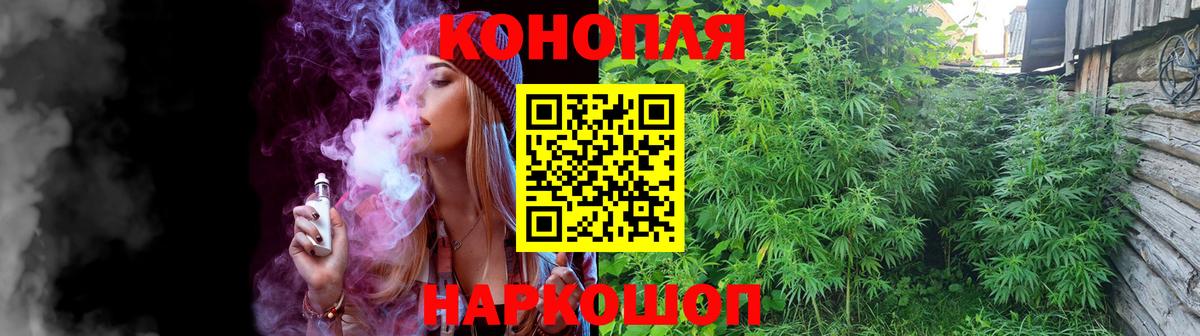 Бошки Шишки семена Алушта